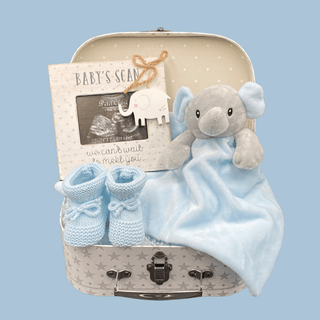 Baby Shower Boy Hamper Gift Set - Elephant - BLOSSOM & MOON