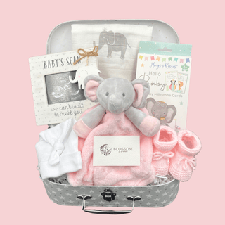 Baby Shower Hamper Gift Set - Baby Scan Photo Frame - Baby Girl - BLOSSOM & MOON