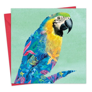 Blank Greeting Cards Hare, Fox, Elephant & Parrot Collection - BLOSSOM & MOON