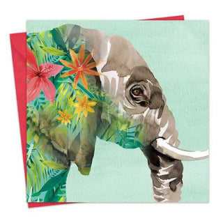 Blank Greeting Cards Hare, Fox, Elephant & Parrot Collection - BLOSSOM & MOON