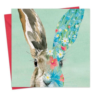Blank Greeting Cards Hare, Fox, Elephant & Parrot Collection - BLOSSOM & MOON