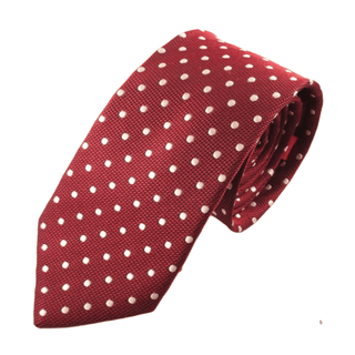 Wine Red Silk Tie with White Polka Dots - BLOSSOM & MOON